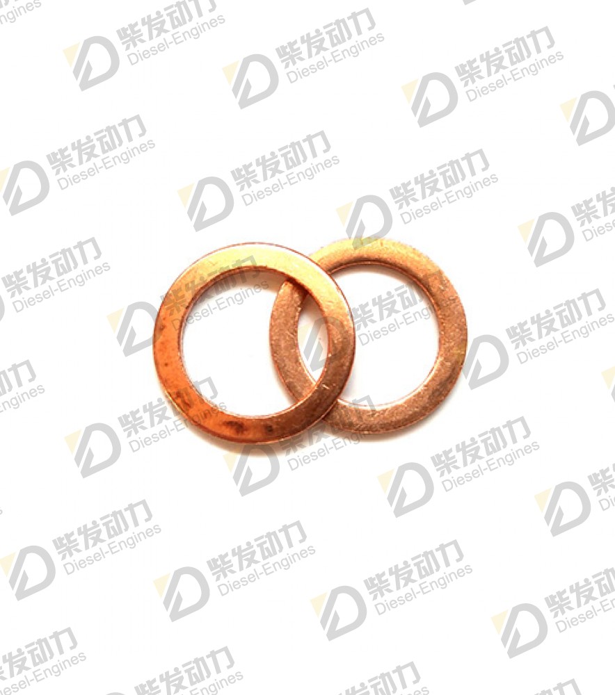 Gasket 969011 
